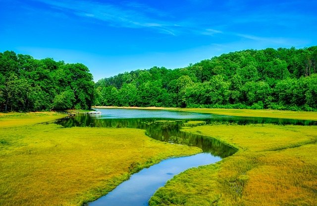 Moving from New York to Georgia for visiting Tugaloo River