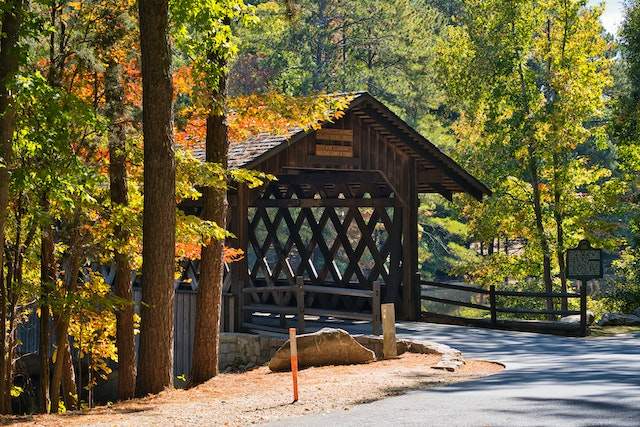 Moving from New York to Georgia for beauty of nature