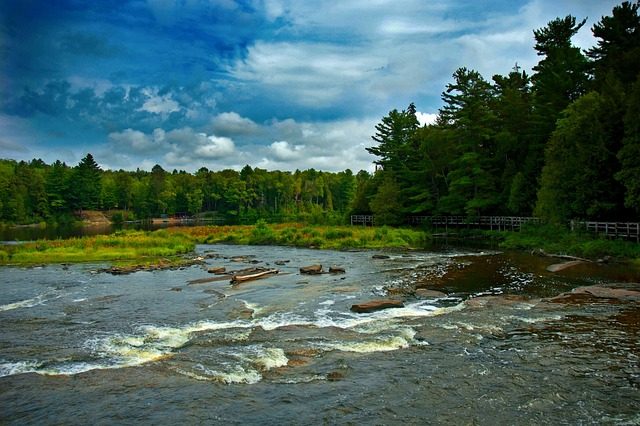 Moving from New York to Michigan Water Forest