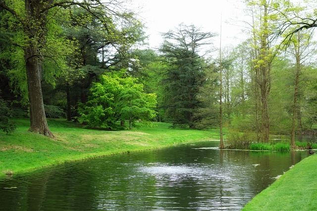 Moving from New York to Pennsylvania Park Pond