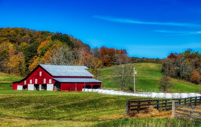 Moving from New York to West Virginia